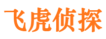 辽中私家调查公司